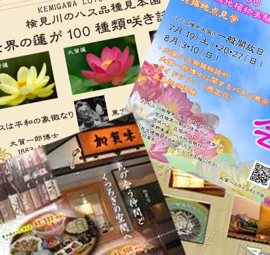 制作実績